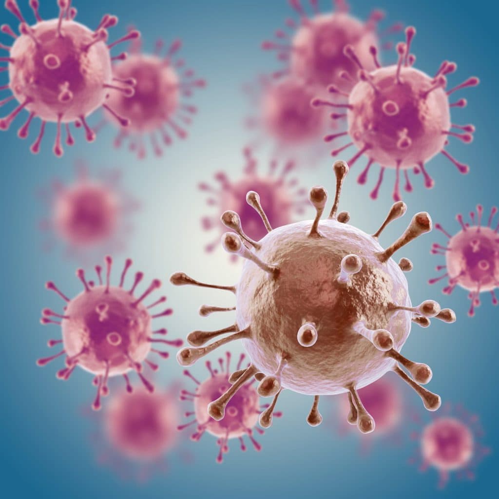 koksaki virus
