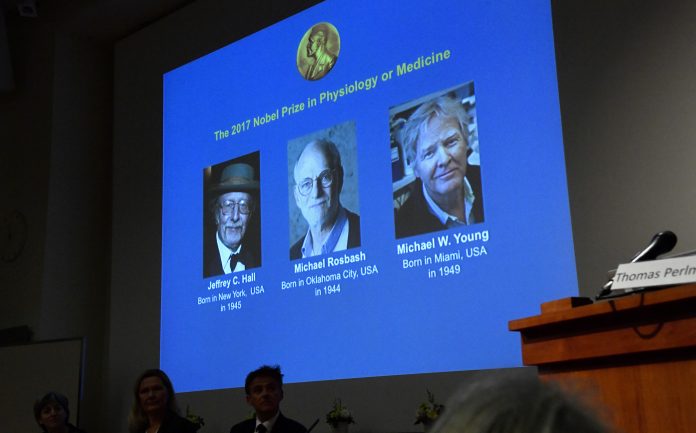 Sweden Nobel Medicine Nobelova nagrada