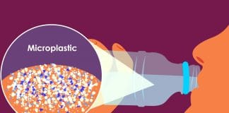 plastika