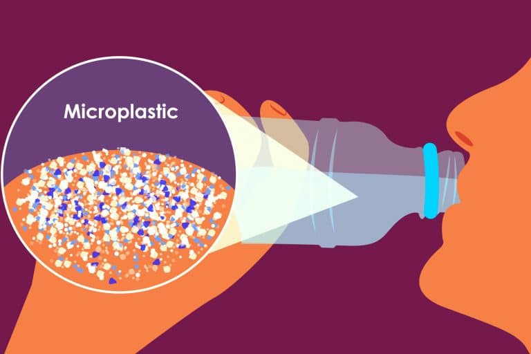 Uticaj plastike na zdravlje i životnu sredinu Uticaj plastike na zdravlje i životnu sredinu