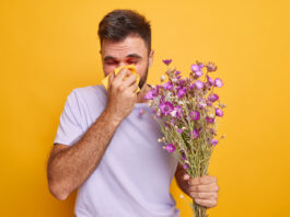 alergija na polen