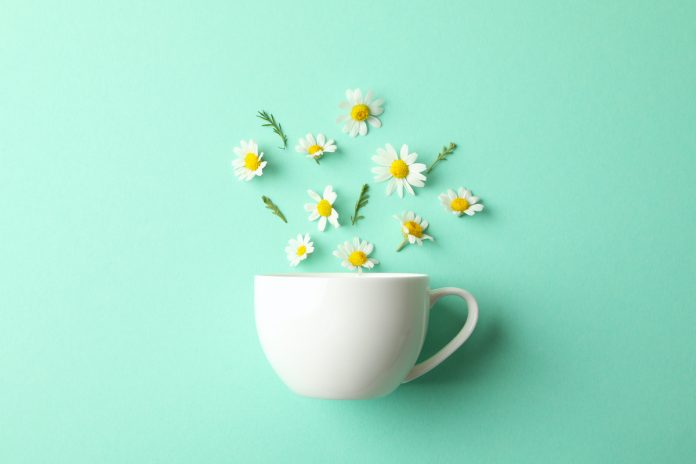 Cup,And,Chamomiles,On,Mint,Background.,Chamomile,Tea kamilica
